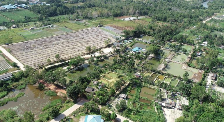 lahan agribisnis (01)